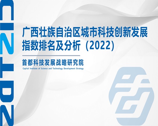 雞巴操小騷逼視頻【成果发布】广西壮族自治区城市科技创新发展指数排名及分析（2022）